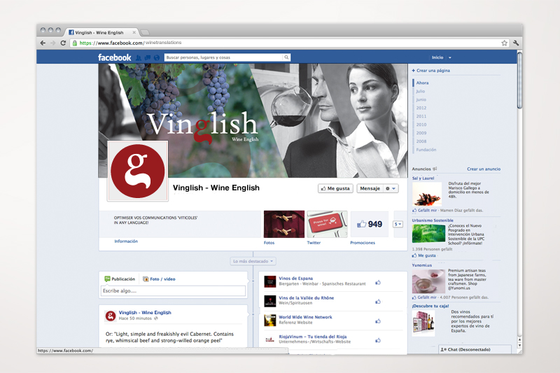 Vinglish facebook